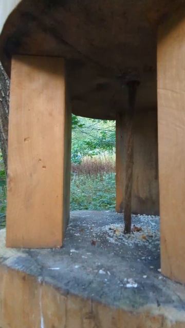 Санкт-Петербург, пешеходный эко маршрут по лесопитомнику на Пулковских высотах смотреть онлайн