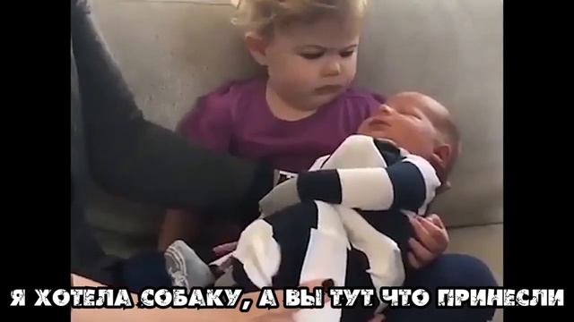 Лучшие приколы 2019 Январь | Тест на психику | ПО ПРИКОЛУ#44😂 | Свежая подборка смотреть онлайн