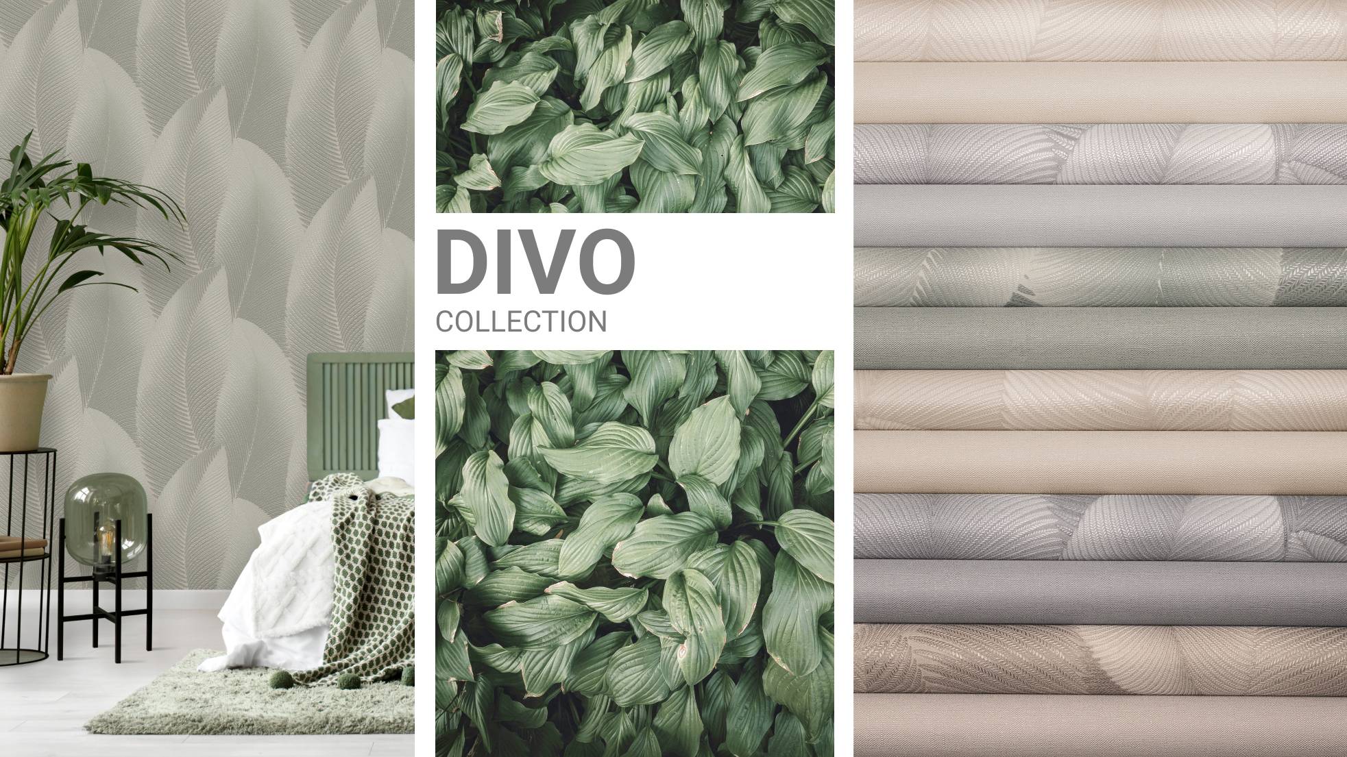 Коллекция Divo/Диво