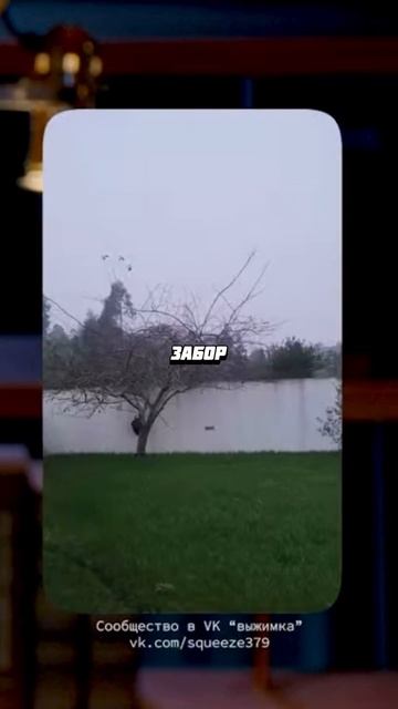 АЗАМАТ И ХАРЛАМОВ ПРОВЕРЯЮТ ИЛЛЮЗИЮ ДЛЯ ГЛАЗ #азаматмусагалиев #харламов #юмор смотреть онлайн