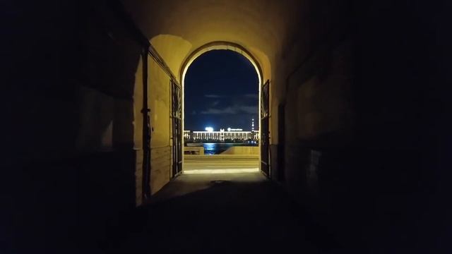 NIGHT IN SAINT PETERSBURG смотреть онлайн