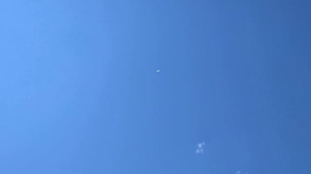 Разгон молодых гривунов часть 2 смотреть онлайн