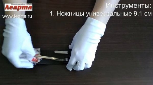 Маникюрный набор Erbe Solingen 9189ER