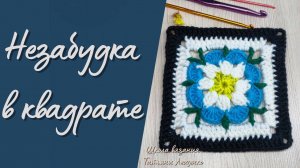 Незабудка в квадрате