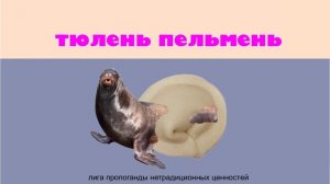 ТЮЛЕНЬ ПЕЛЬМЕНЬ 1 ЧАС / SEAL PELMEN 1 HOUR