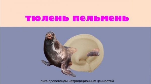 ТЮЛЕНЬ ПЕЛЬМЕНЬ 1 ЧАС / SEAL PELMEN 1 HOUR