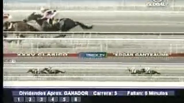 Hipismo Global 301009 Santa Rita 4 смотреть онлайн