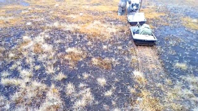 Пахус МД смотреть онлайн