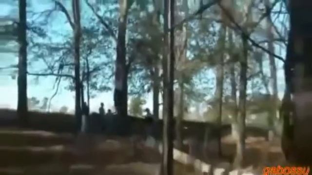 Видео "Стрельба снайперов (юмор)" смотреть онлайн