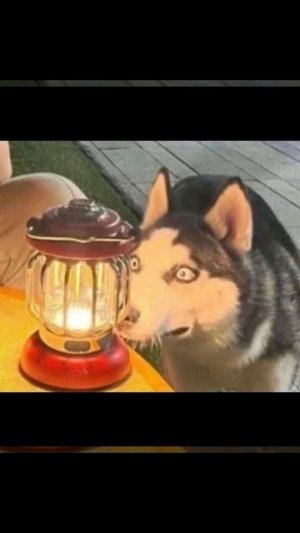 Та самая технолоджия 😅😅😅 очень смешной мем. Прикол. Технология.