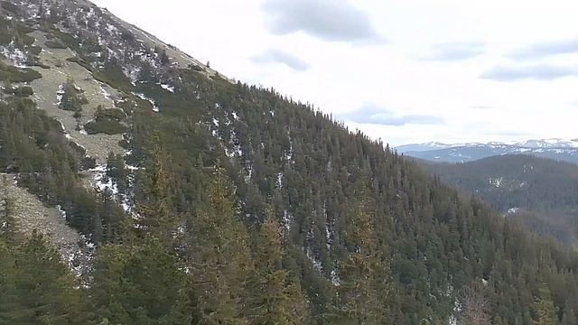 Сивуля смотреть онлайн