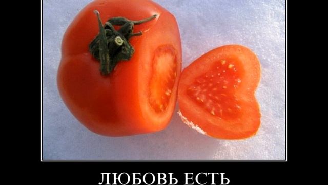 Фотоприколы под музыку 2.wmv смотреть онлайн