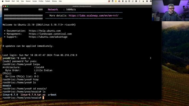 L'amour du RISC ! Exploration d'un serveur RISCV смотреть онлайн
