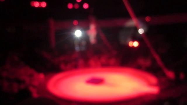 приколы цирка смотреть онлайн