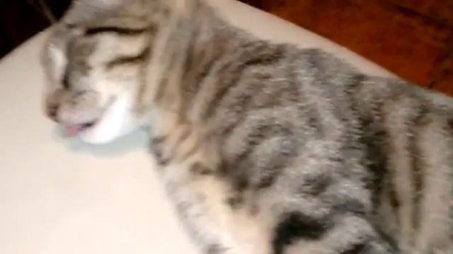 Спокойной ночи