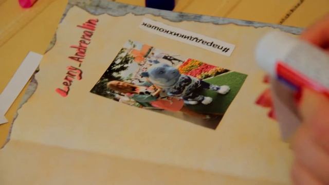 DIY smashbook идеи личного дневника личный дневник дневник для девочек смотреть онлайн