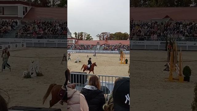 фестиваль коня на ВДНХ смотреть онлайн