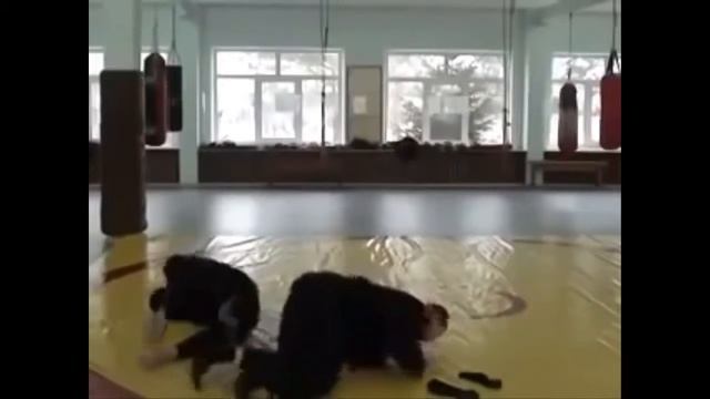 ПОСМОТРИ Приколы онлайн Ютуб видео смотреть приколы смотреть онлайн
