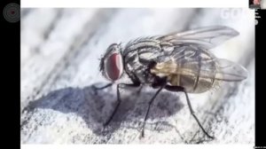 Управление временем