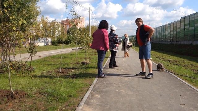 Посади свое дерево (Лесной городок) смотреть онлайн