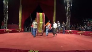 Цирк шапито максимум 1 отделение