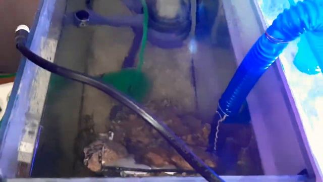 Самп из подручных средств смотреть онлайн