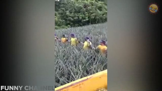 ЛУЧШИЕ ПРИКОЛЫ ЗА НЕДЕЛЮ ПРИКОЛЫ 2019 ИЮНЬ ЛУЧШИЕ СМЕШНЫЕ ПРИКОЛЫ ПОДБОРКА #35 смотреть онлайн