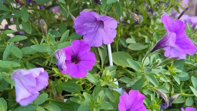 ЖИЗНЬ В ХАРЬКОВЕ‼️ СИДИМ БЕЗ СВЕТА‼️ смотреть онлайн