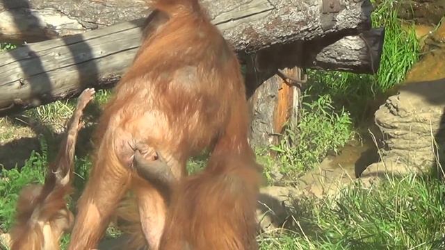 00137 смотреть онлайн