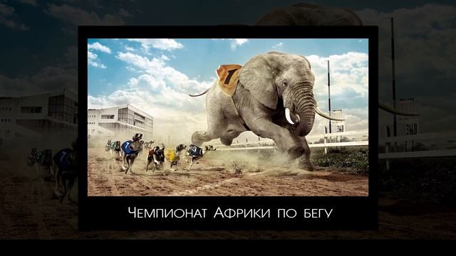 Самые смешные демотиваторы 4K смотреть онлайн