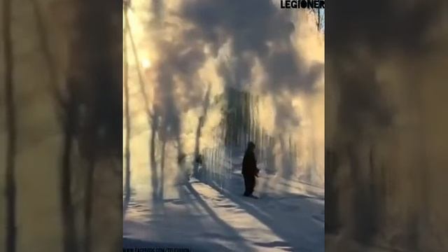Верьте в мечту и она сбудется