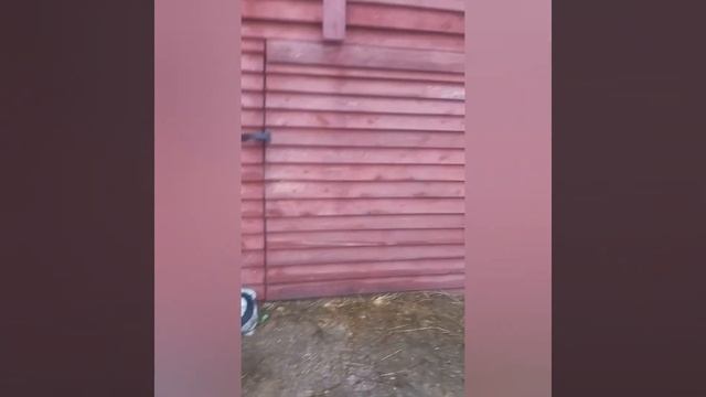 замок на большую дверь смотреть онлайн