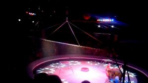 Цирк Шатировых