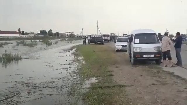 03.05.2020 Мақтарал ауданы Су тасқыны Өргебас ауылы смотреть онлайн
