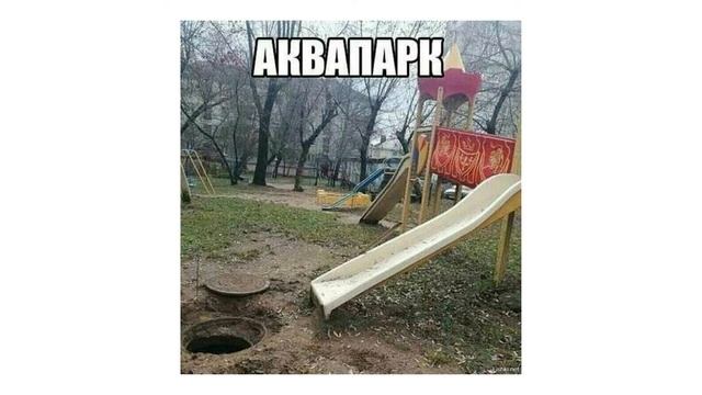 Осыпаем цветами любимую хозяйку и другие прикольные кадры. смотреть онлайн