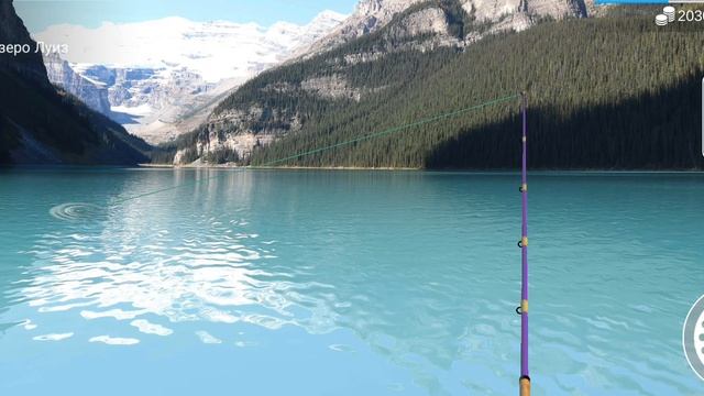 новое локация