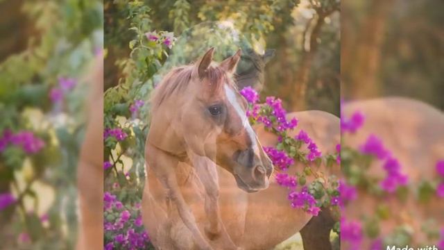 приколы фотографии смотреть онлайн