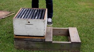 Из чего состоит улей для пчел в Канаде