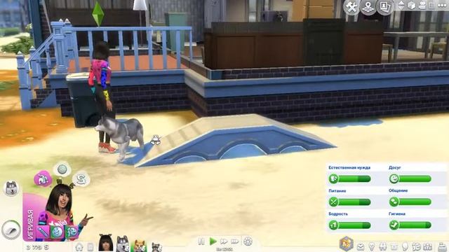 The sims 4 кошки и собаки, Cats & Dogs стрим смотреть онлайн