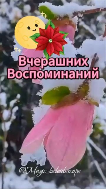 Оригинальные пожелания с добрым утром Доброе утро пожелания красивые необычные #открытки #shorts смотреть онлайн
