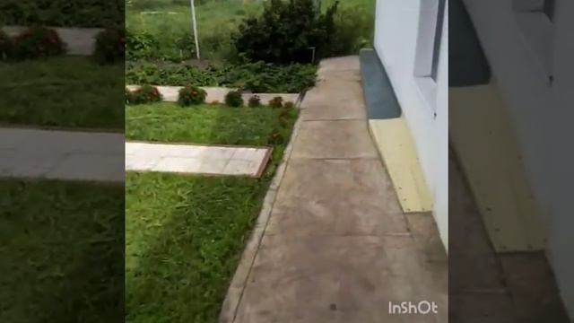 Частушки под гармошку смотреть онлайн