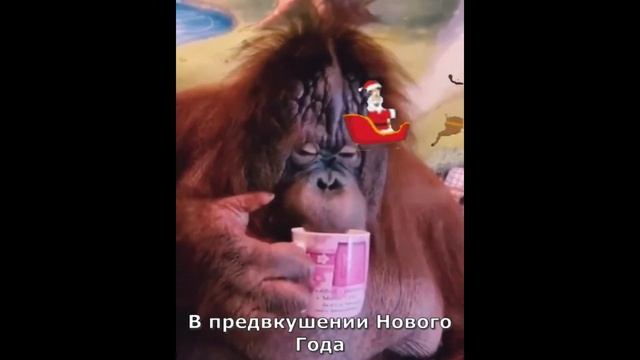 Приуныл смотреть онлайн
