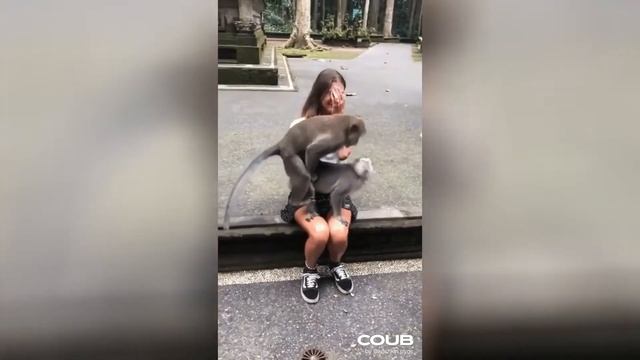 #141 Gifs with sound - Best Cube приколы | Cuber Buber смотреть онлайн