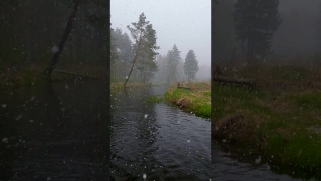 Зимняя сказка в апреле смотреть онлайн