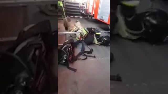 К НОРМАТИВУ ПРИСТУПИТЬ! смотреть онлайн