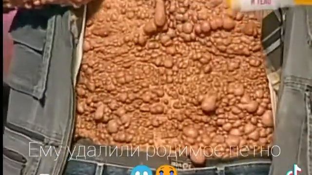 Тик ток от Тимофея смотреть онлайн