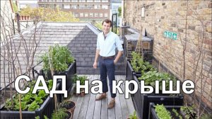Зеленая крыша  Как разбить огород или сад на крыше