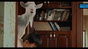 Mr.Kozyol ( Mister taka ) 2-qism