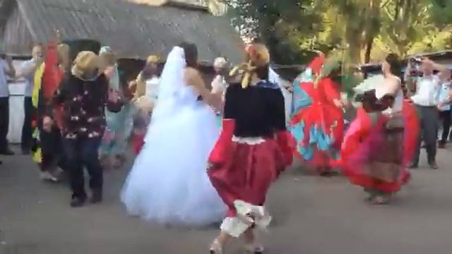 Молодые в окружении цыган смотреть онлайн