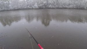 рыбалка на чехонь , на бомбарду